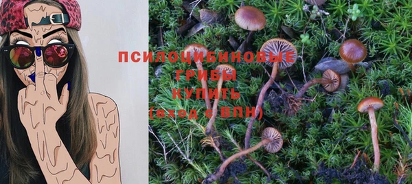 мяу мяу мука Алзамай